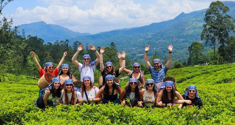 Travel Sri Lanka with Your Own Companions — Not Unknown Large Group Tours