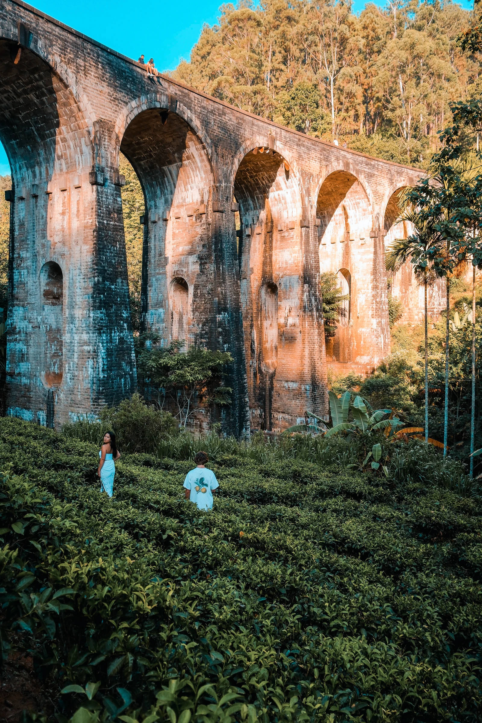 Why Online Sri Lanka Itineraries Don’t Always Work – The Difference Between Map Time and Real Travel Experience
