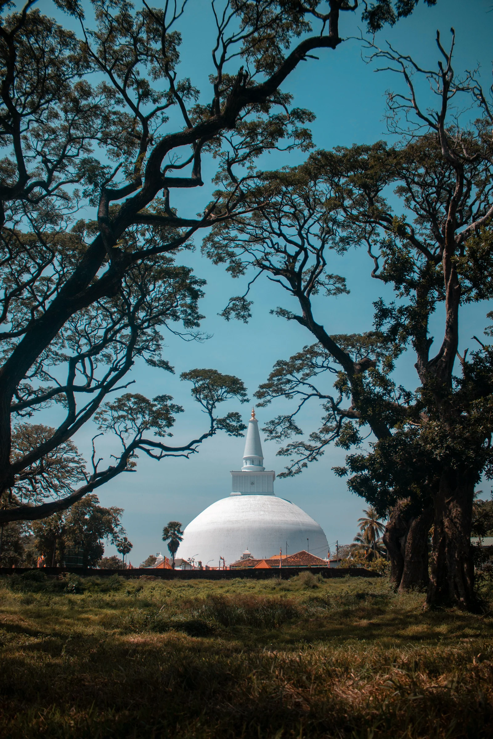 Kangaroos & Kiwis Travel Guide to Sri Lanka & Maldives: 14 Nights of Smart Luxury Under AU$5,000
