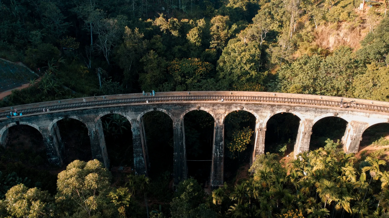 Best Day Tours from Ella, Sri Lanka – Explore Beyond the Hill Country