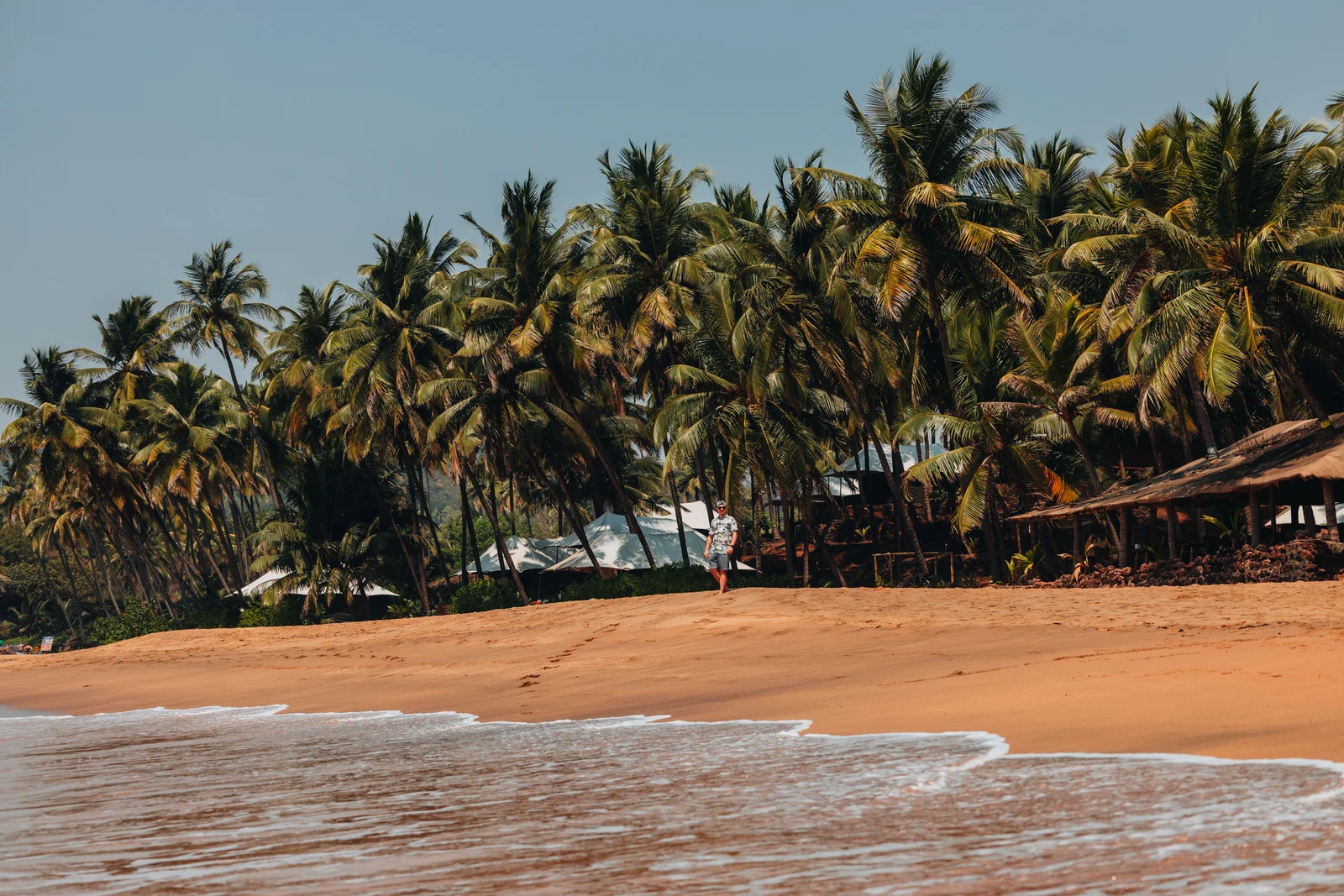 Best Day Tours from Bentota, Sri Lanka – Explore Beyond the Beach