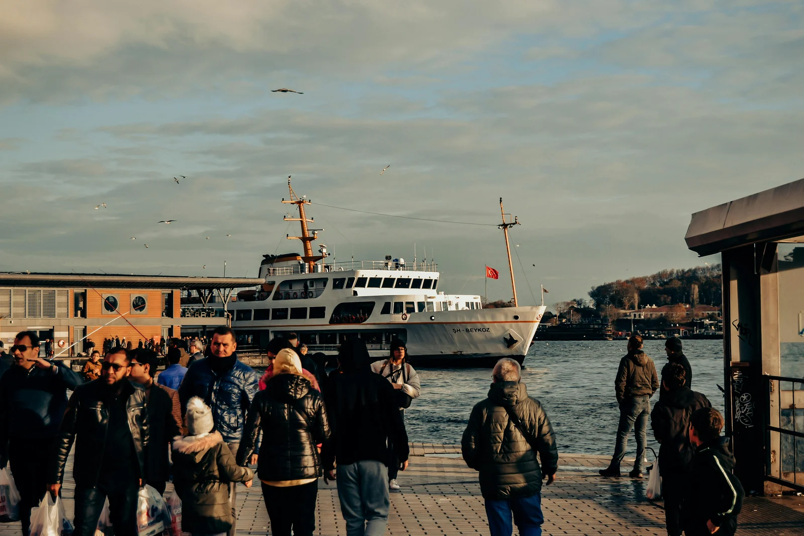 shore-excurshion-with-apple-vacations.jpg