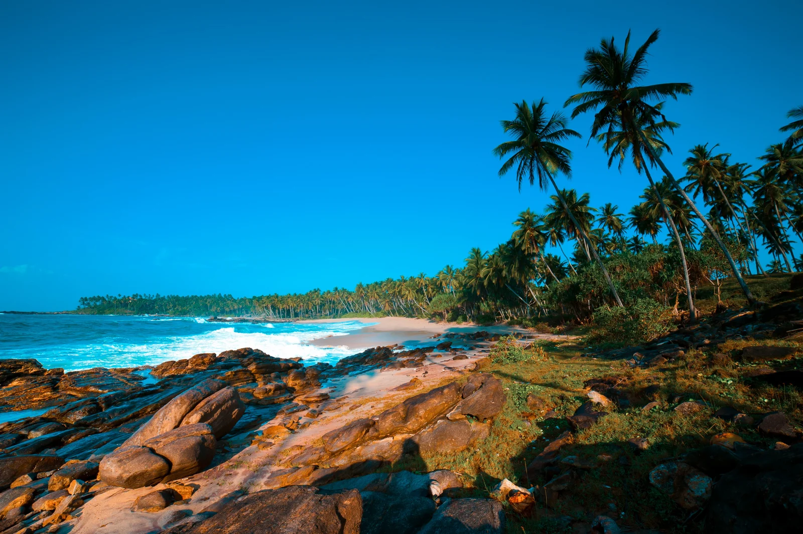 Luxury Wildlife & Beach Escape