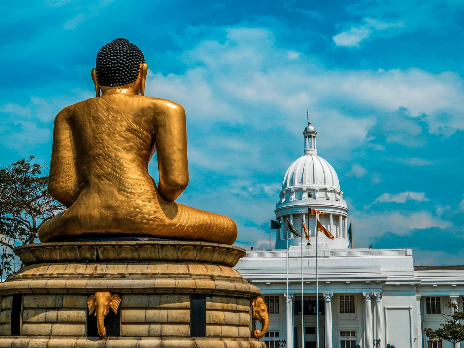 Colombo City & Street Food Experience
