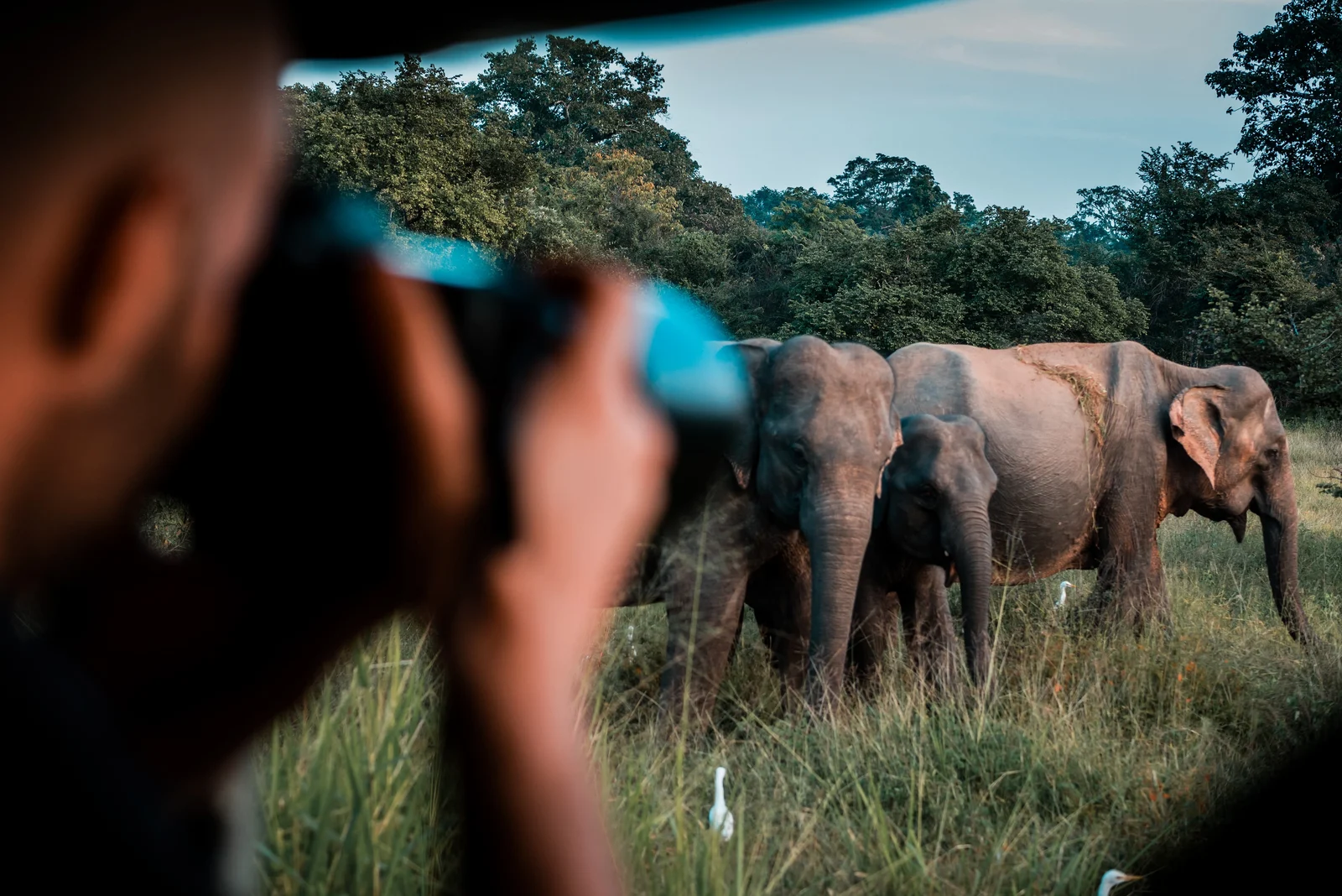 Ultra Luxury Safari & Coastal Retreat