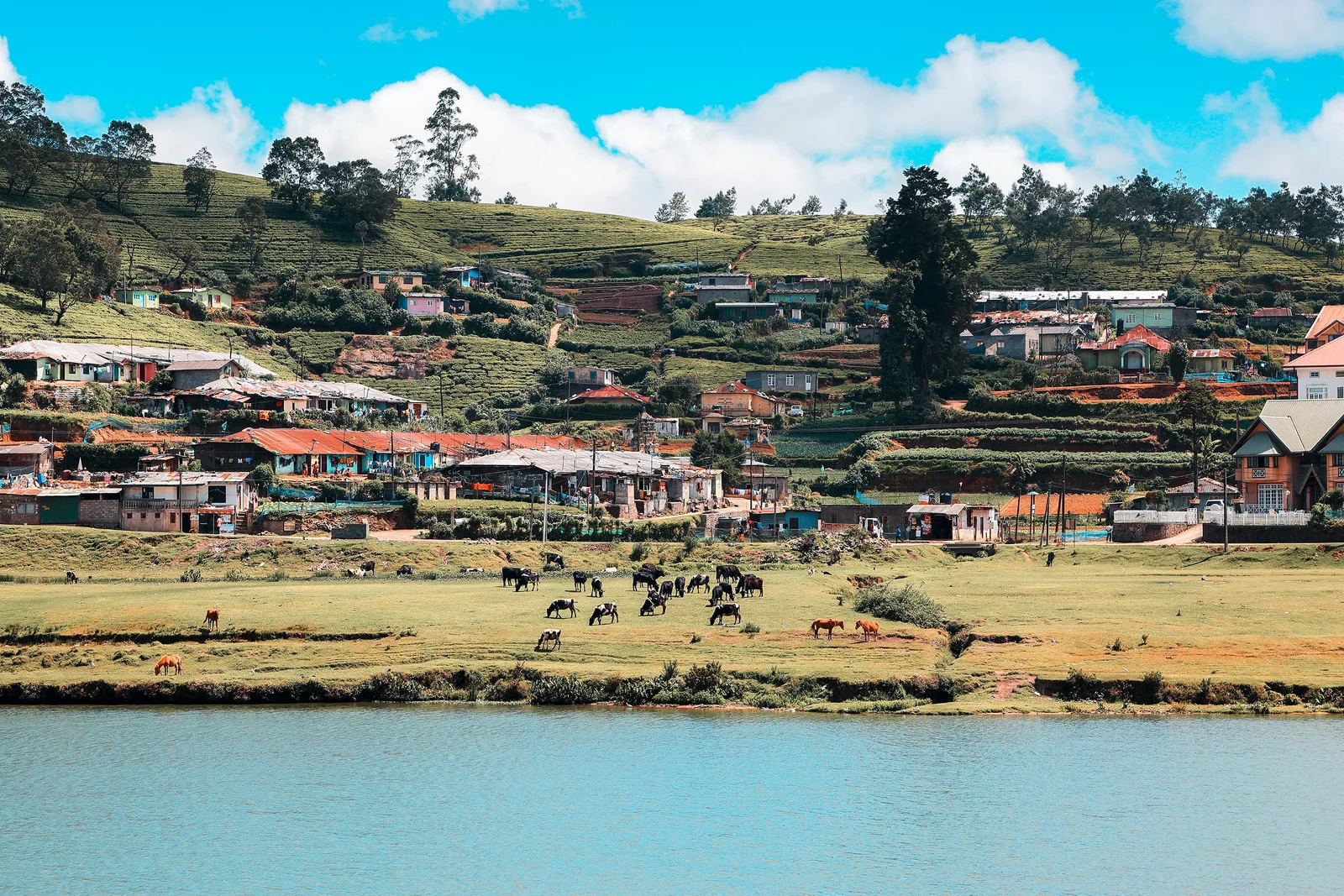 Hakgala