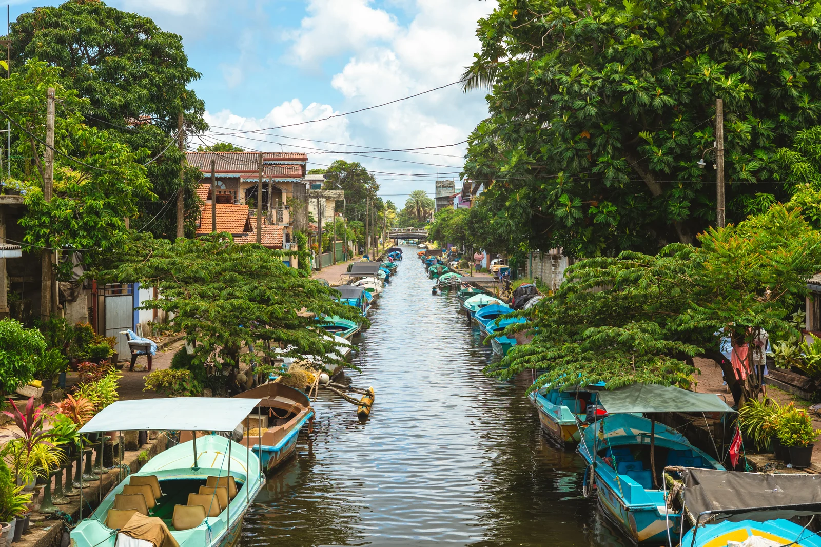 Negombo Lagoon & Fishing Experience From Negombo