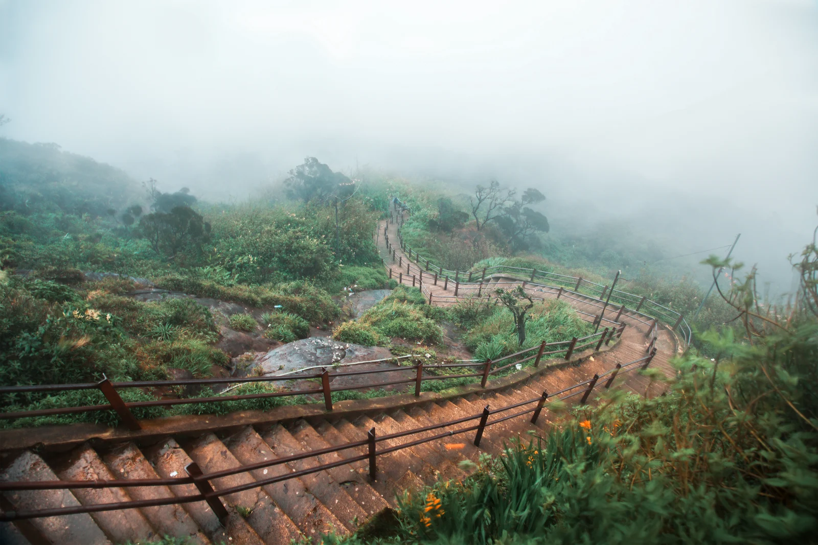 Tea Country Hiking Journey