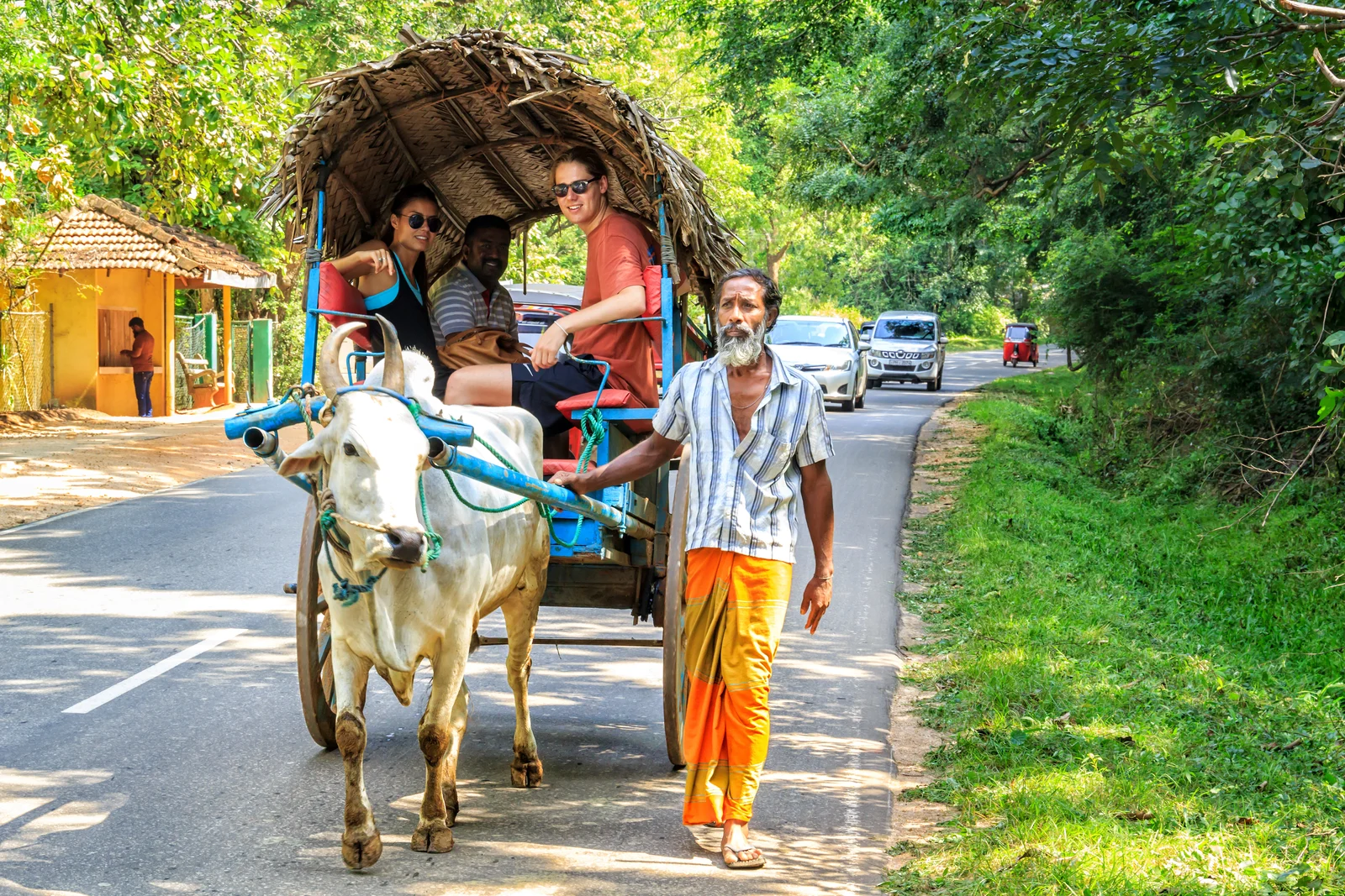 Rural Bliss Cultural Adventure From Sigiriya