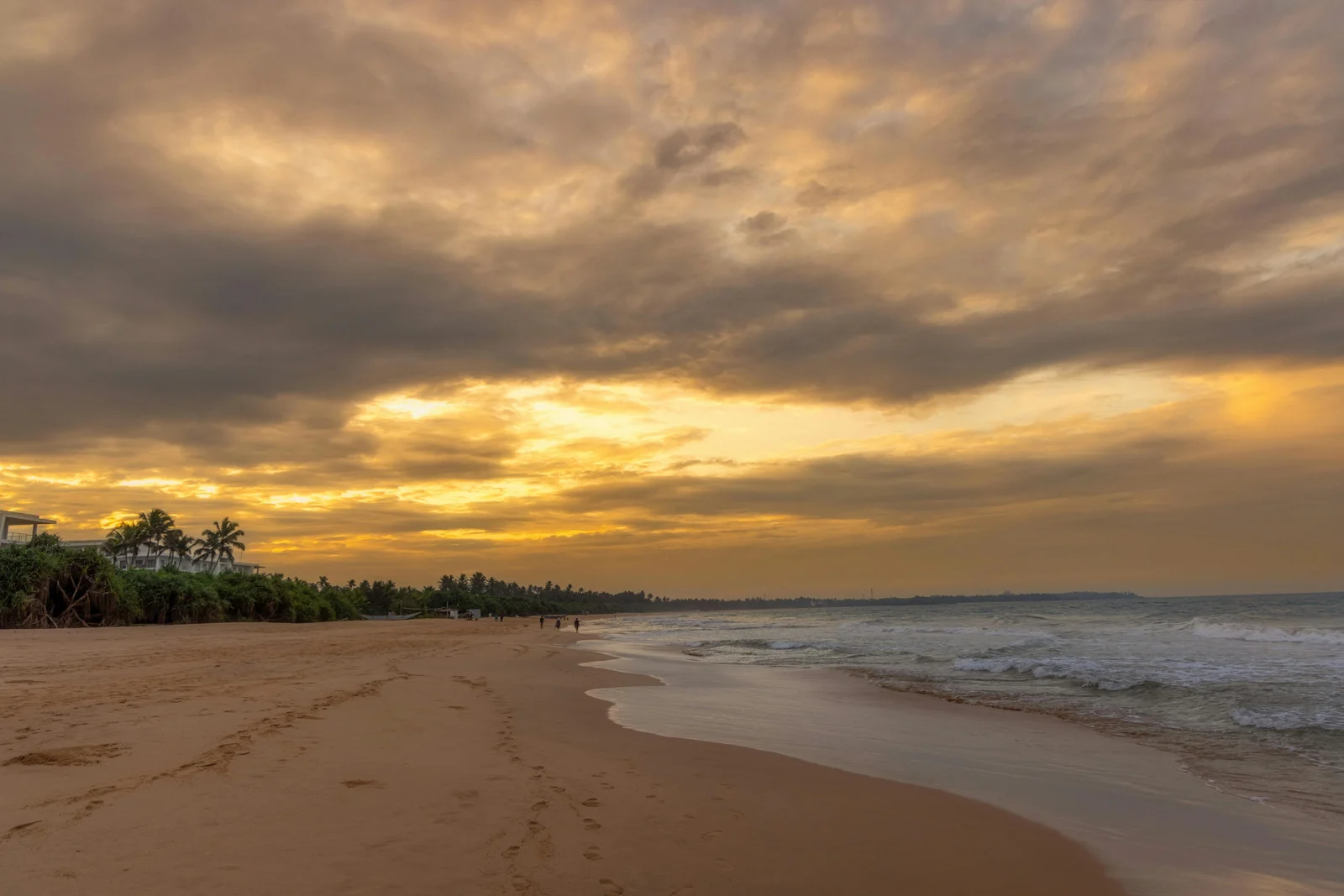 Scenic Train & Wellness Escape