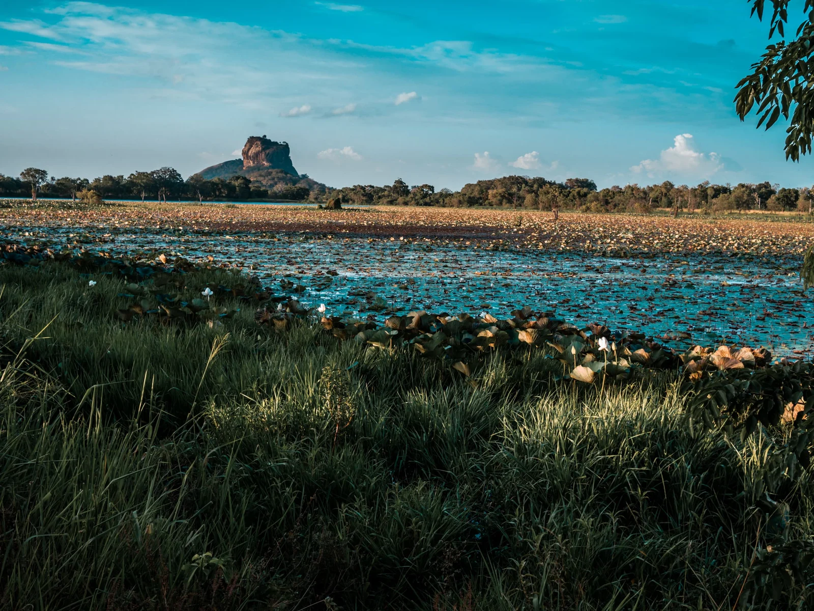 Dambulla 2