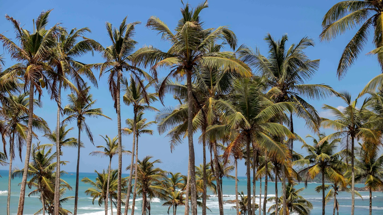 Maafushi
