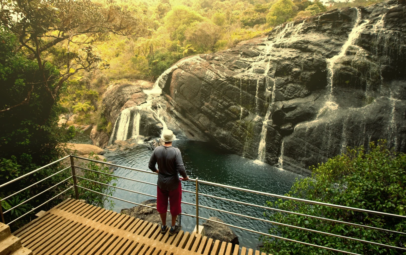 Horton Plains & Nuwara Eliya Highlands Adventure from Kandy