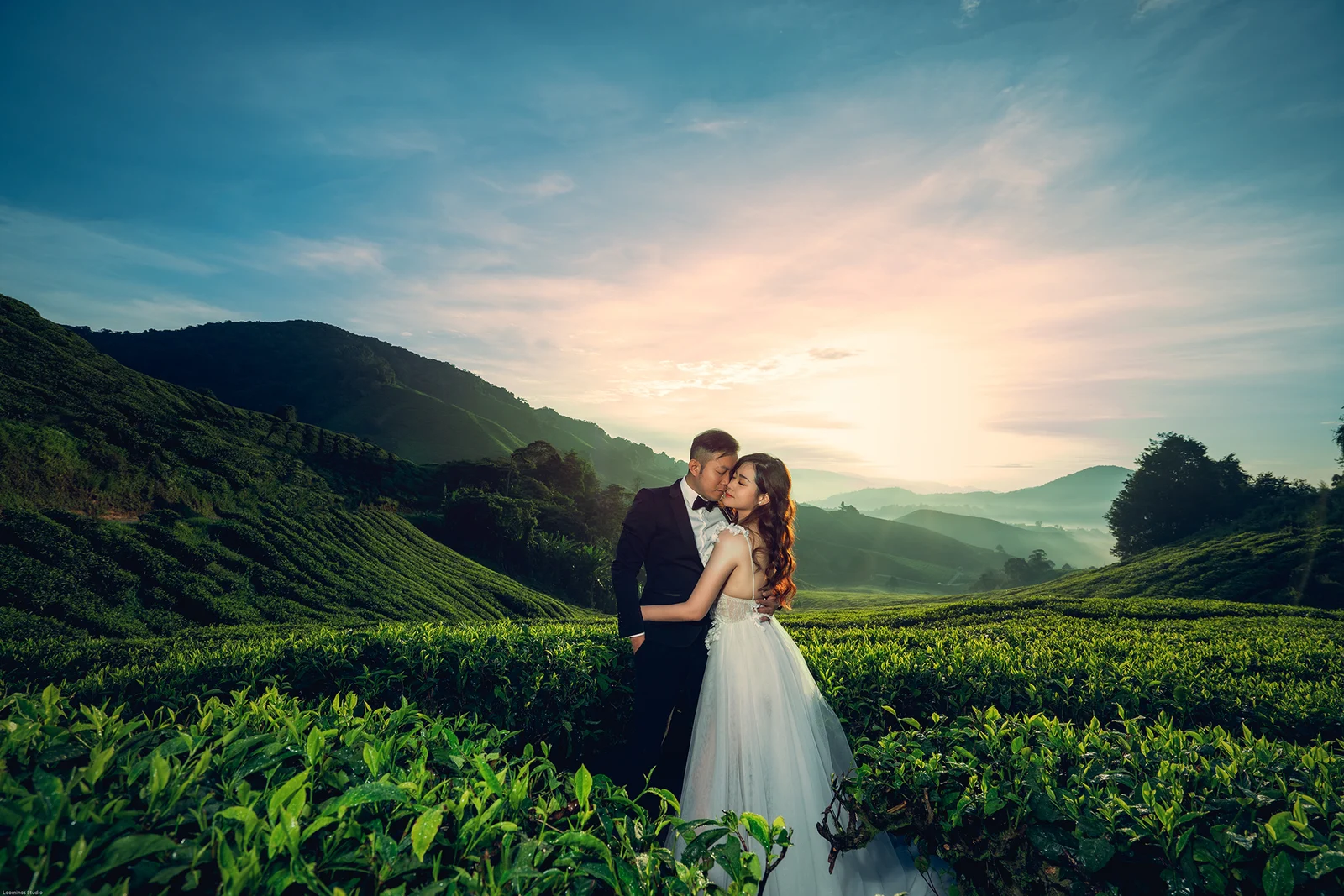 Tea Country Wedding Celebration