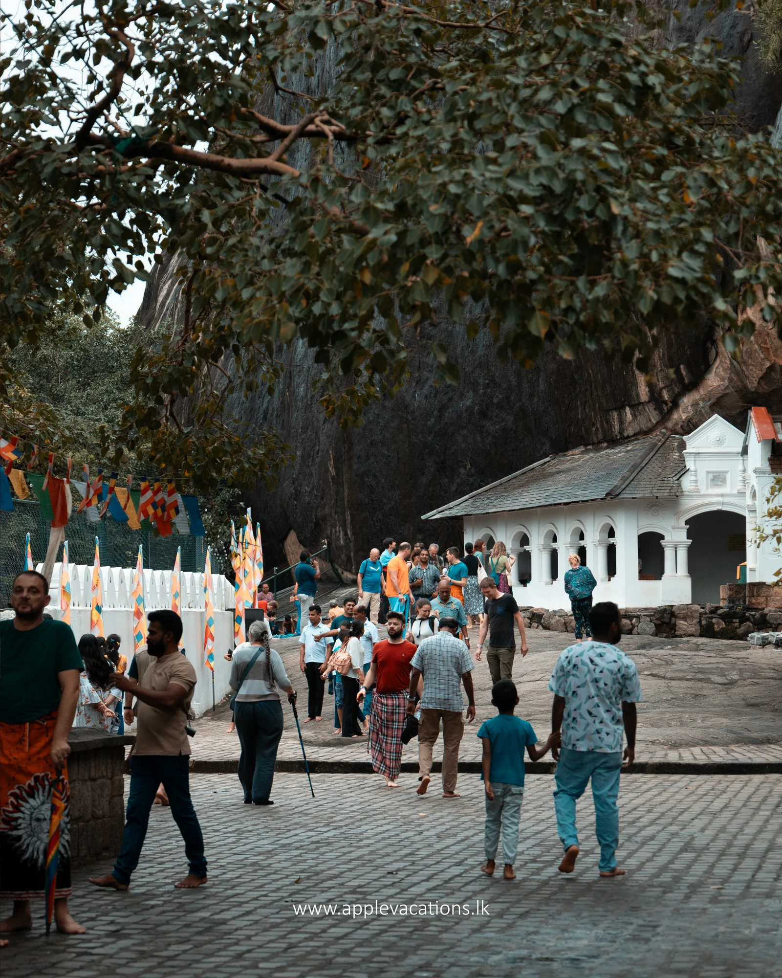 Dambulla Cave Temple & Pidurangala Rock Climb Day Trip from Colombo