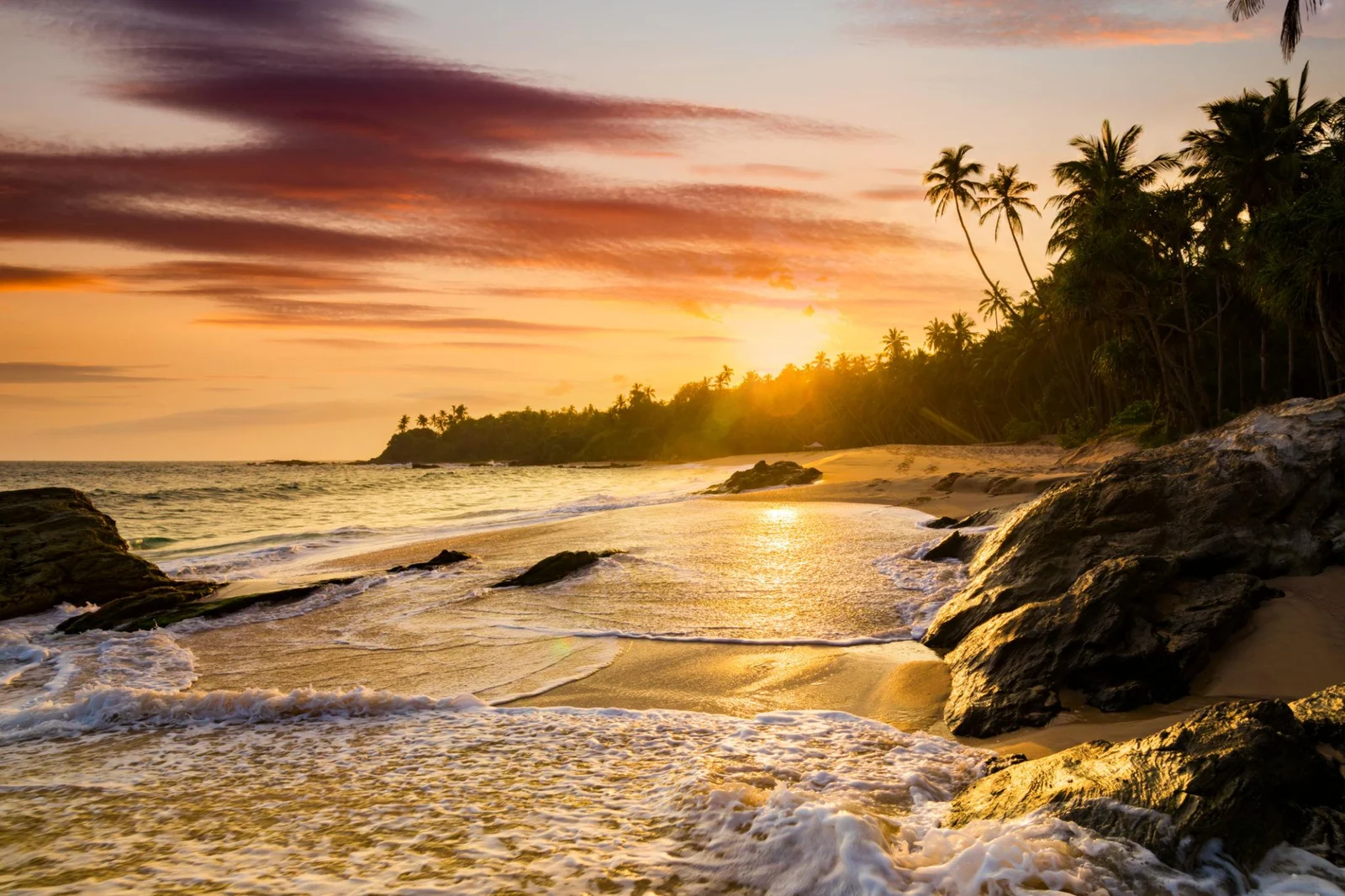 Sunset Beach Ceremony Experience