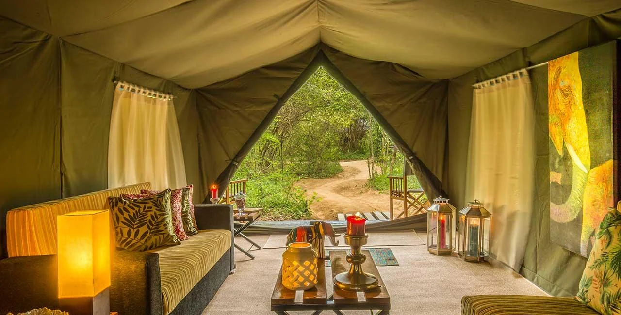 Ultimate Luxury Safari Camp Escape