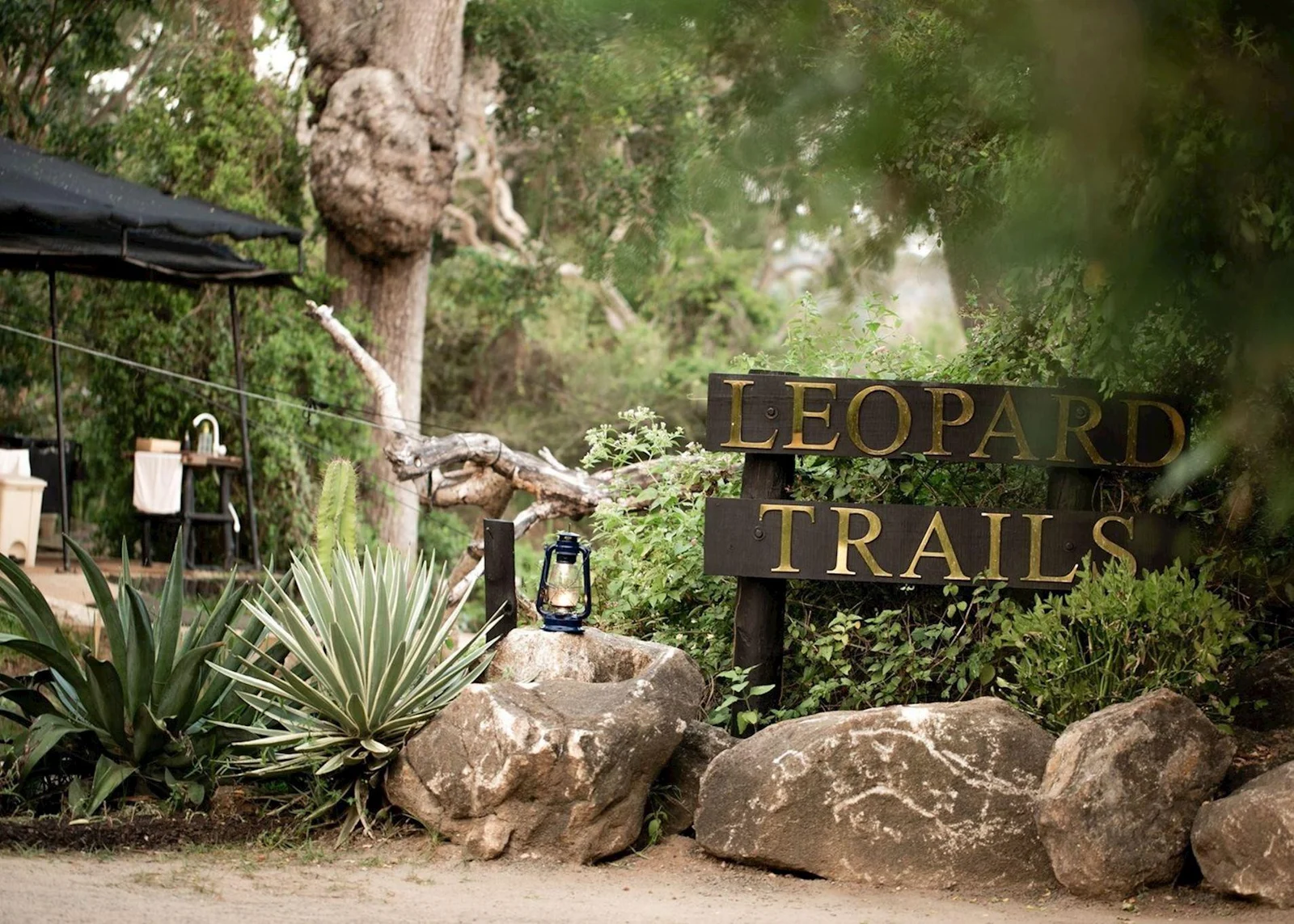 Leopard Trails Luxury Journey