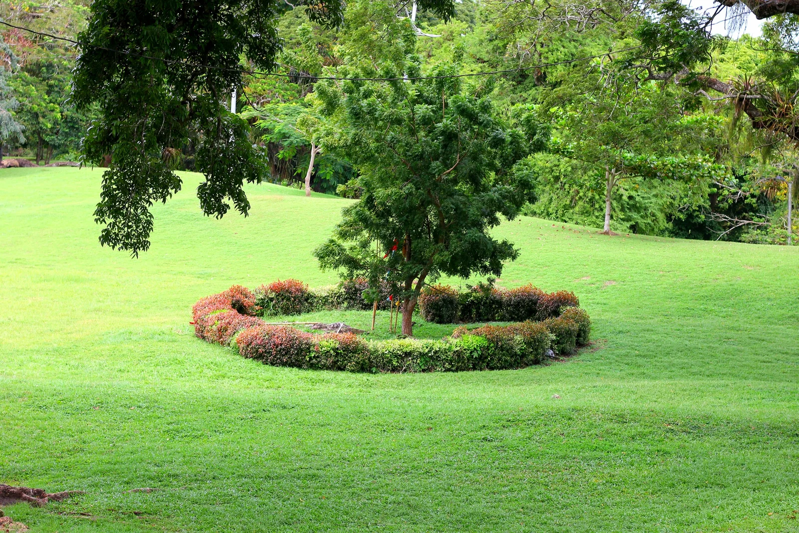 Hill Country & Nilaveli Luxury Escape