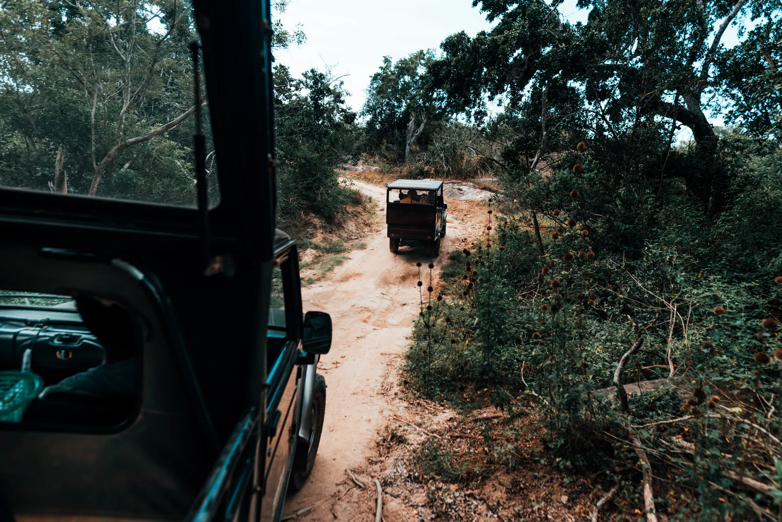 Wildlife & Beach Family Tour