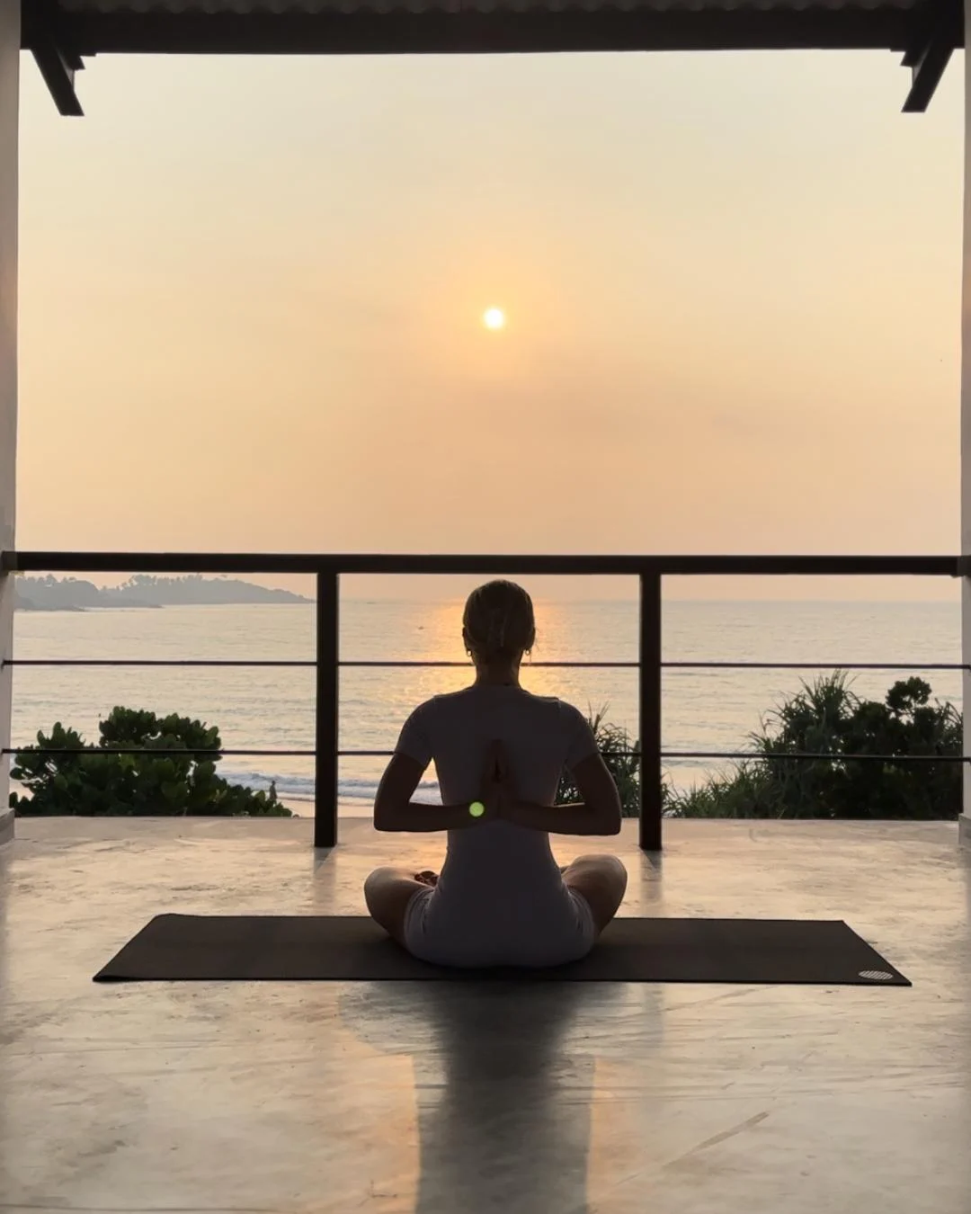 Wellness & Ayurveda