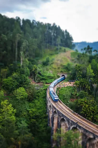 Scenic Train Journeys