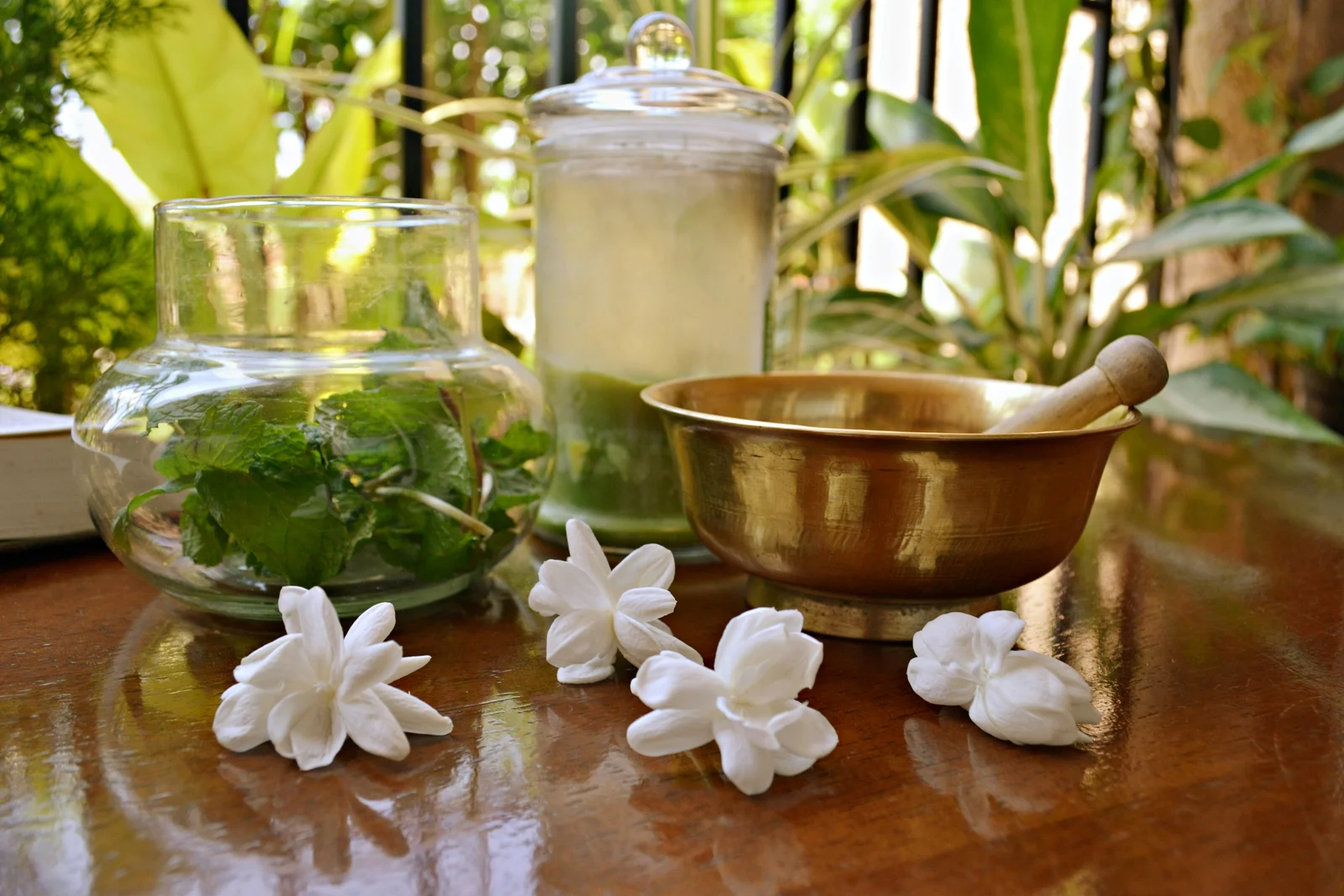 Wellness & Ayurveda Retreats