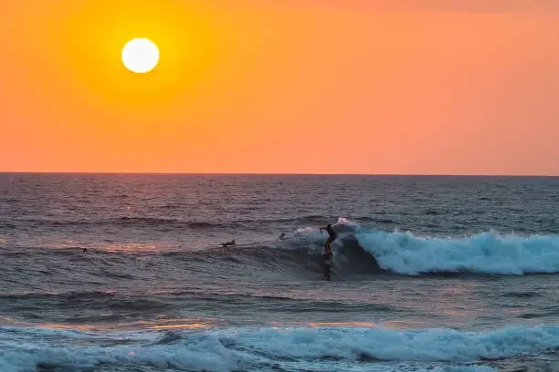 Arugam Bay Long Surf Stay