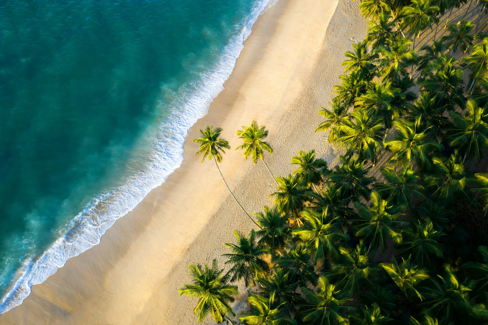 Luxury Wildlife & Beach Escape