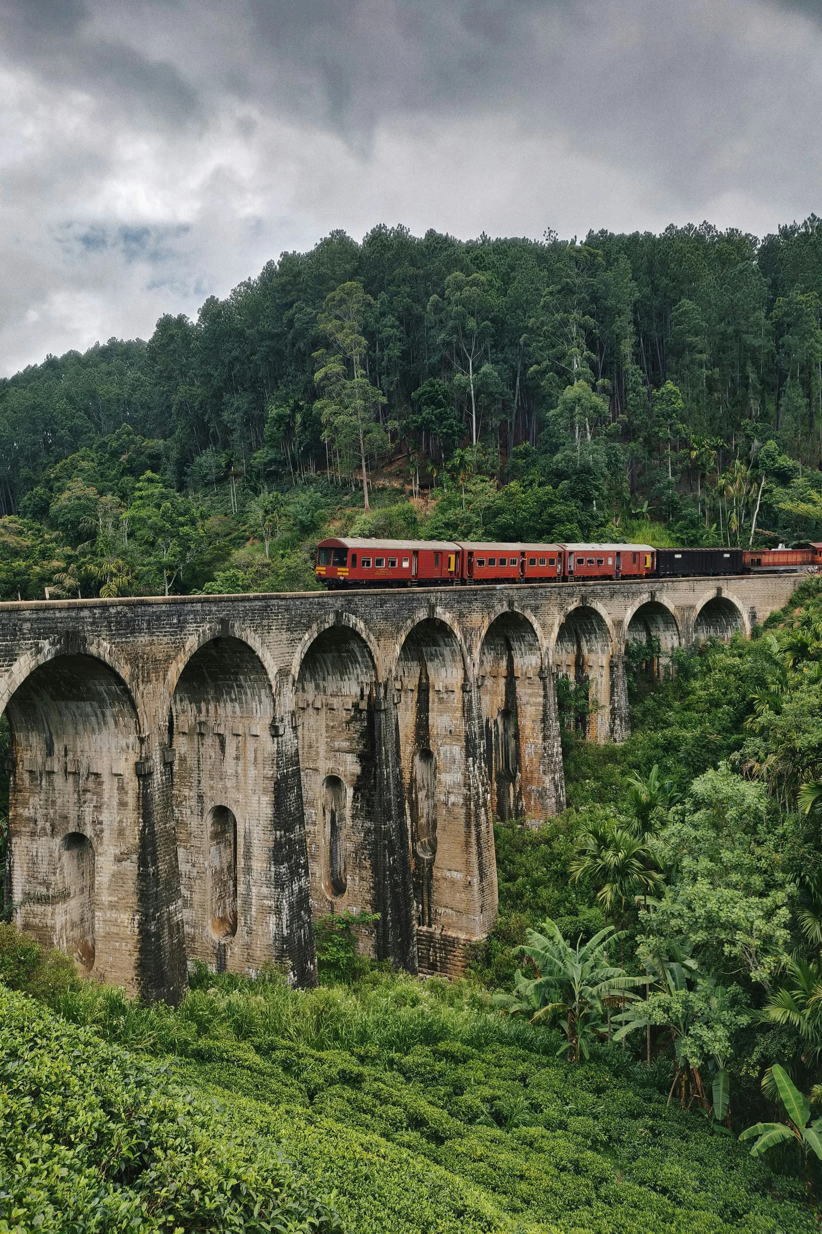 Sri Lanka Heritage & Highlands Escape