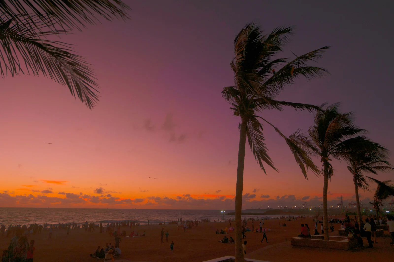 Surf & Ocean Escapes