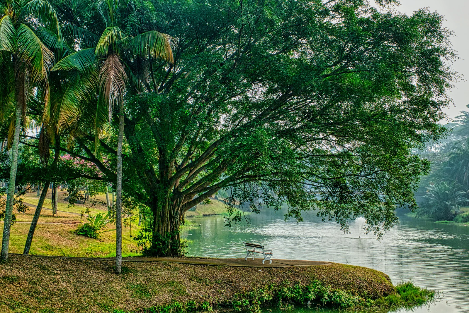 Gallery 6