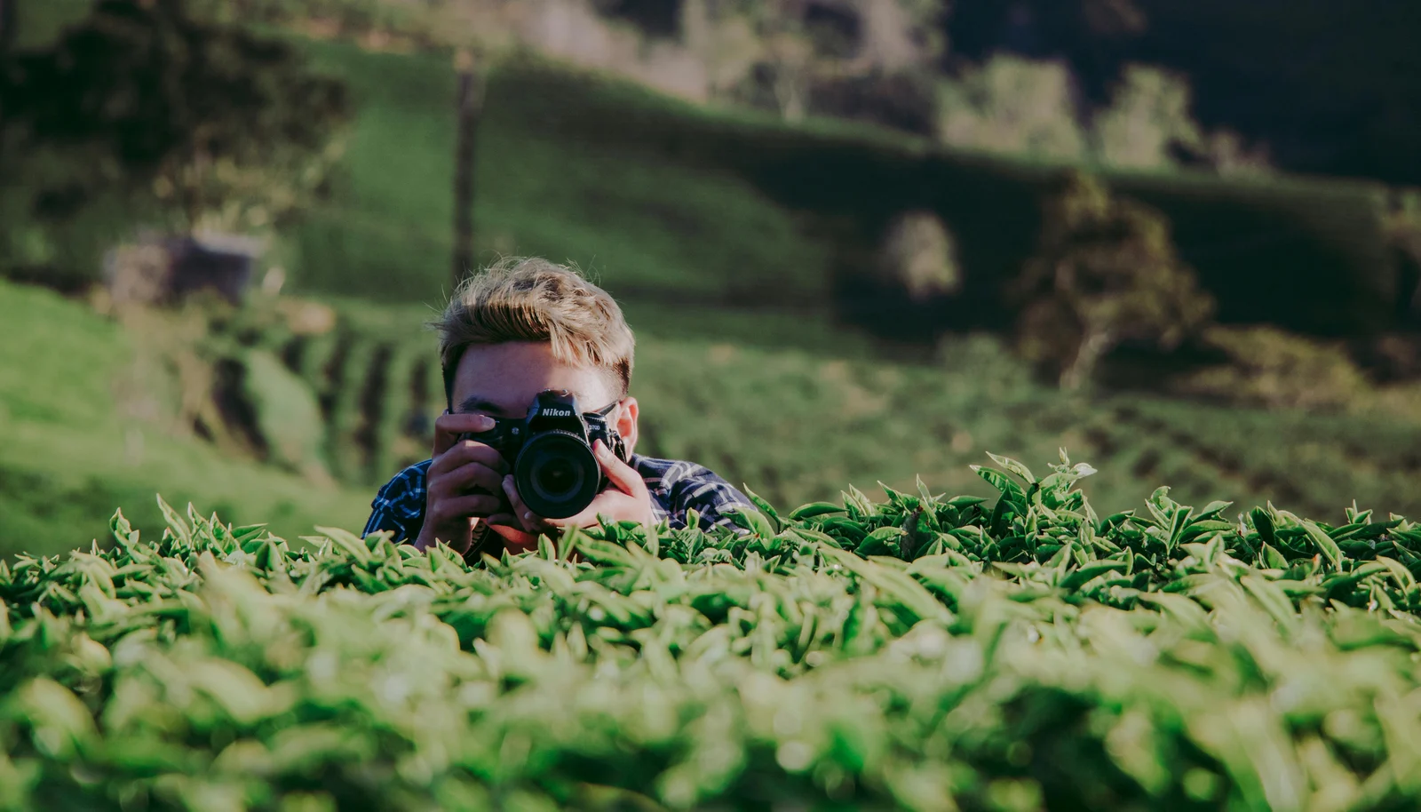 Gallery 3