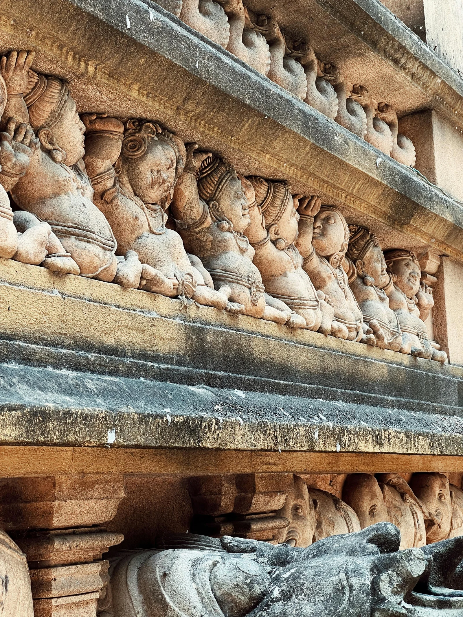Gallery 6
