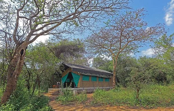 Gallery 1