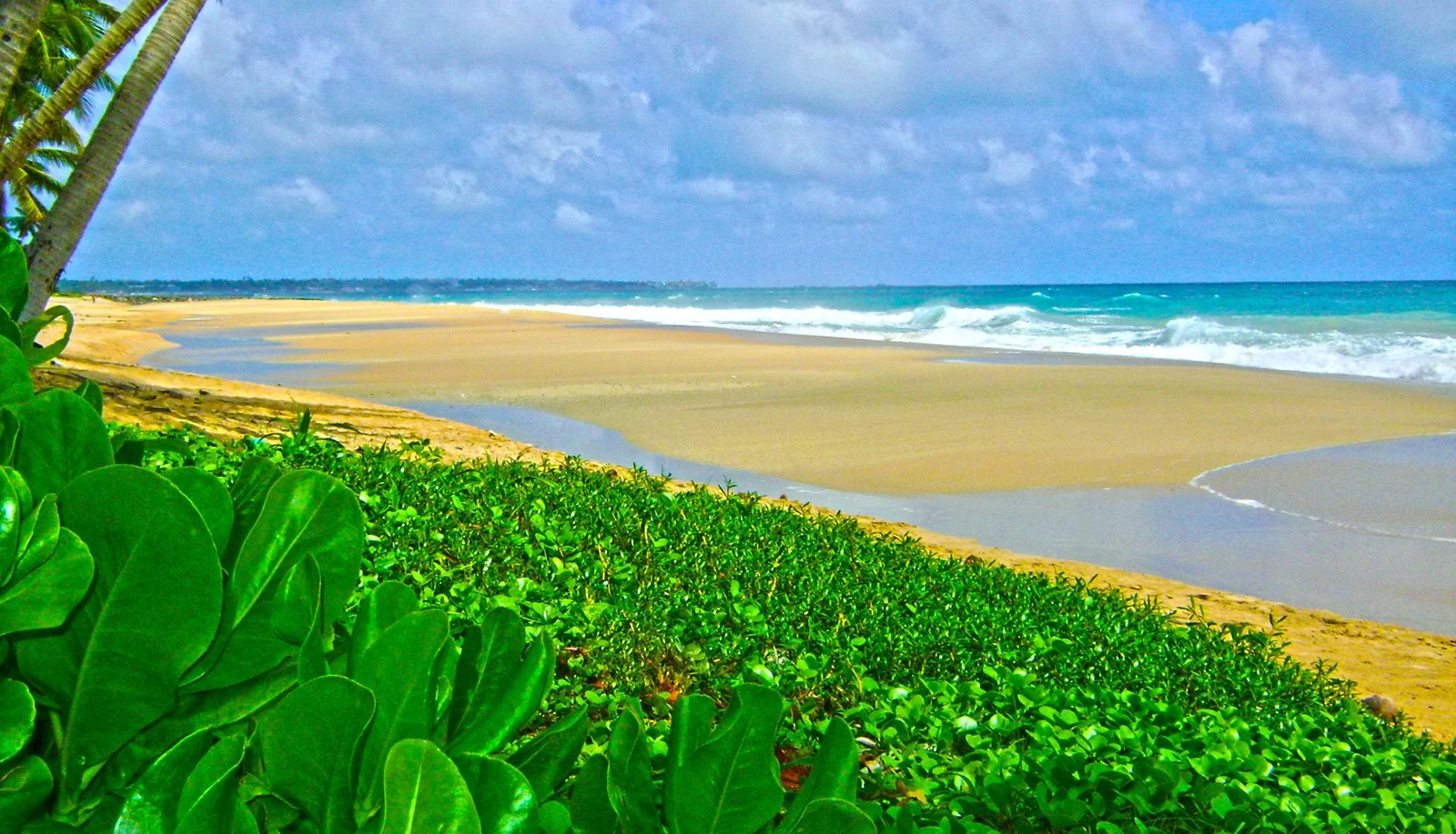Aluthgama