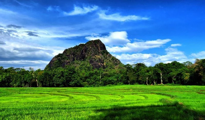 Maradankadawala