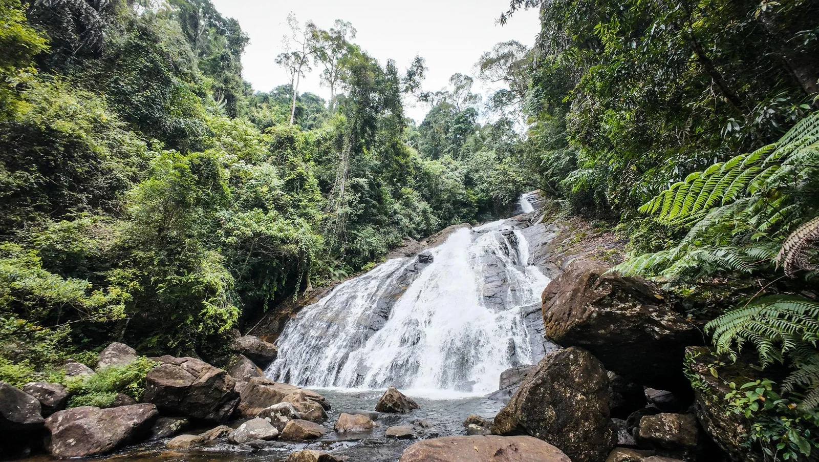 Sinharaja